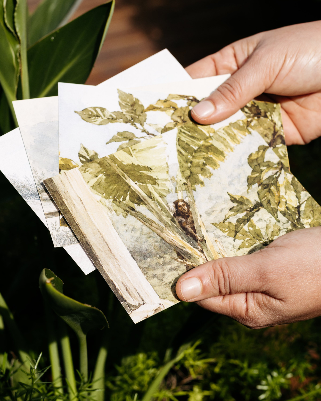 Mãos segurando postais de Cartas do Litoral entre folhagens.